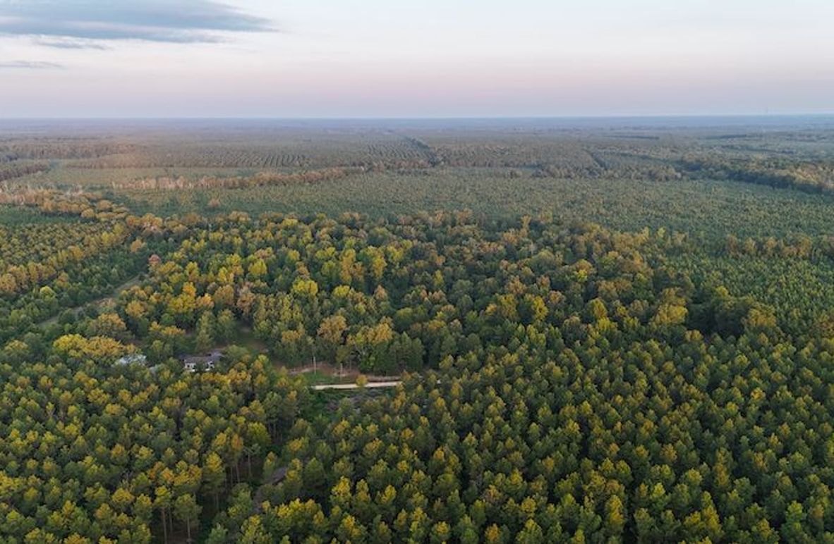 Ashley Co-40-Givens-09