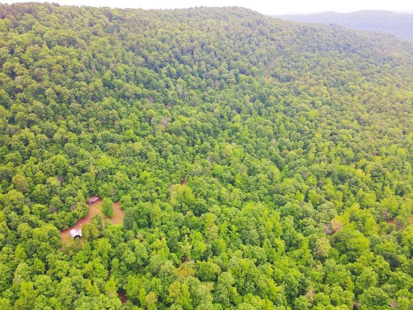 DJI_0355