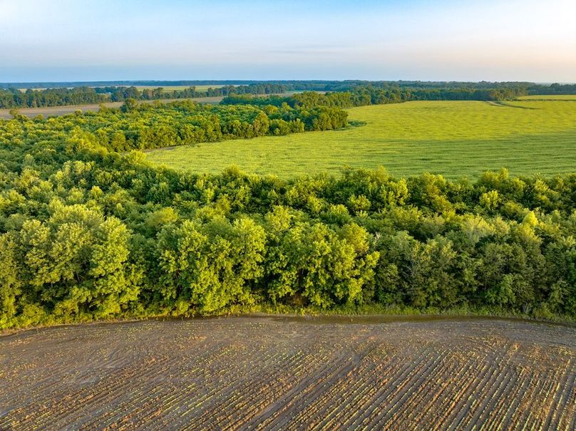 Copy of Noxubee 112.1 +- Tract 1-10