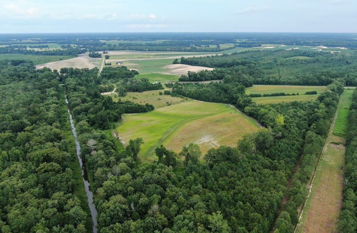 36BE0C47-8F65-4CF8-BC92-447DA76AB162