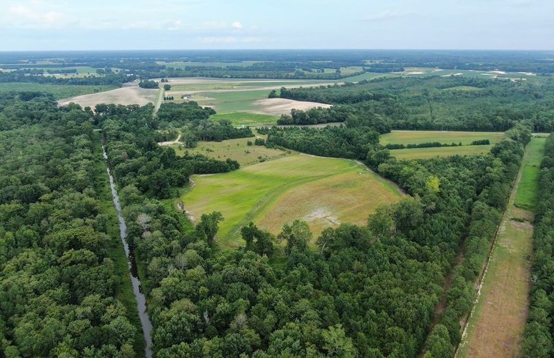 36BE0C47-8F65-4CF8-BC92-447DA76AB162