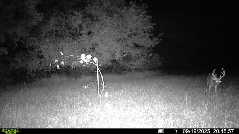 016579000173638-100-3-09192025204857-v-syfw06154