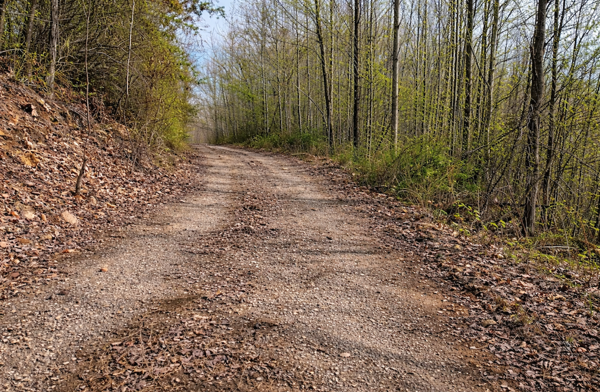 ChatGPT Image Mar 30, 2026, 01_06_46 PM