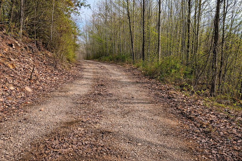 ChatGPT Image Mar 30, 2026, 01_06_46 PM