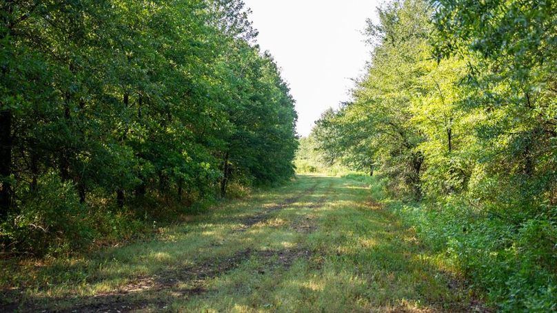 MadisonParLa1372-126