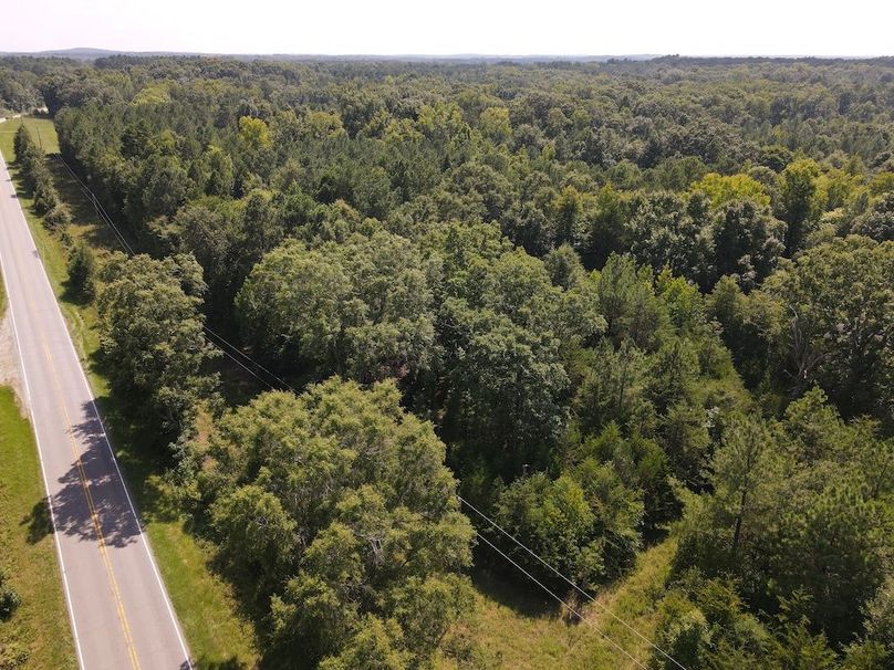 DJI_0223