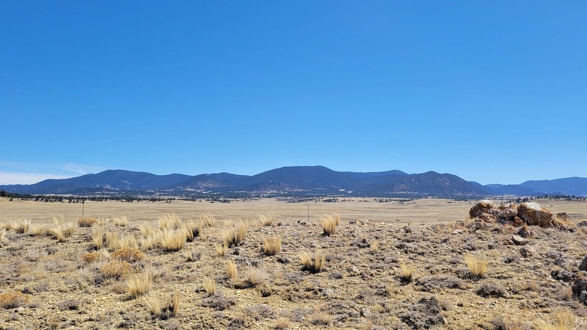 Scenic Building Lot Minutes Adjacent To Public Land Whitetail Properties