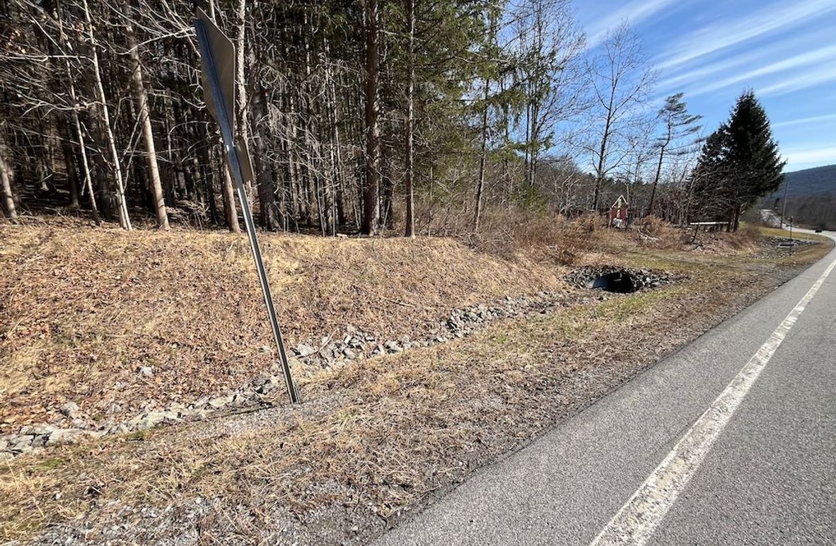 Ontario_39.6_Powell Photo 4