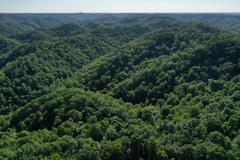 029 mid level aerial drone shot from the south boundary looking up the valley to the northeast