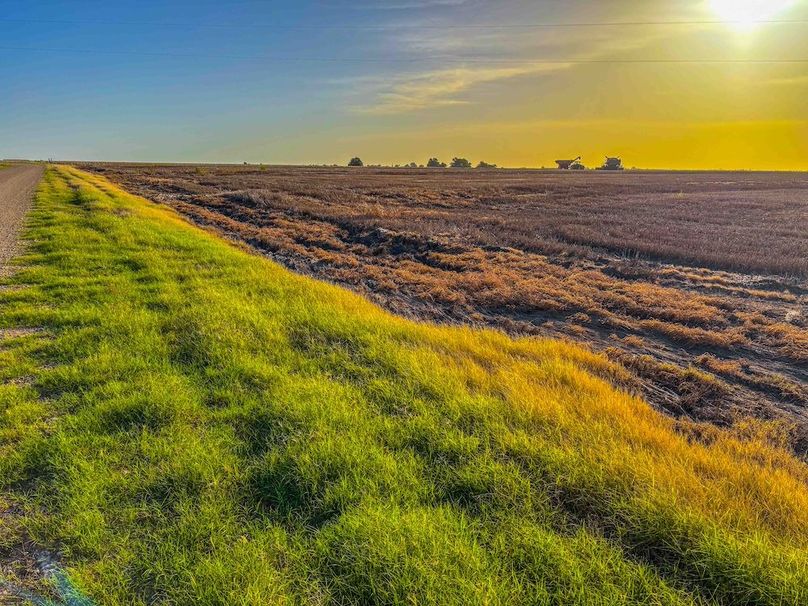 Bell 46.44 Pictures-29