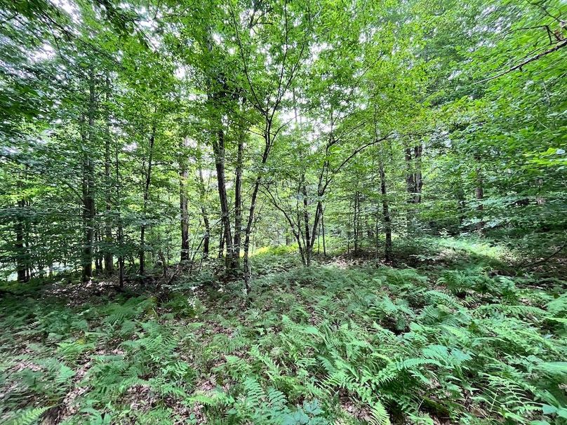 Oswego_133.72_Middleton_Photos_34