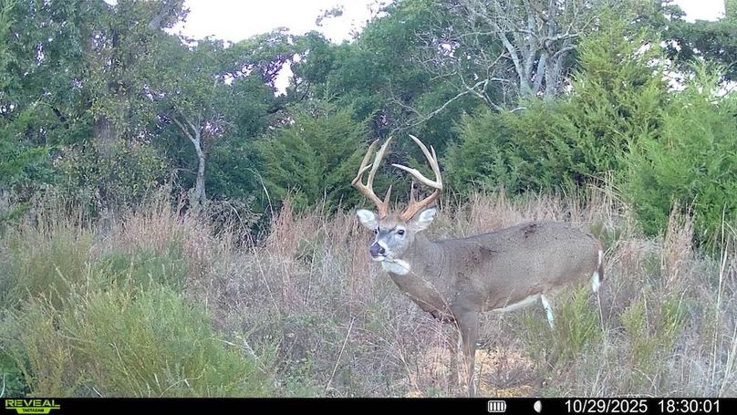 016578004545254-100-4-10292025183001-SYFW13394