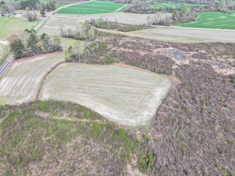 Copy of DJI_20260303065142_0591_D