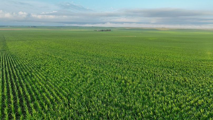 Copy of Copy of DJI_0380