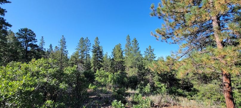 Copy of 20210827_090548