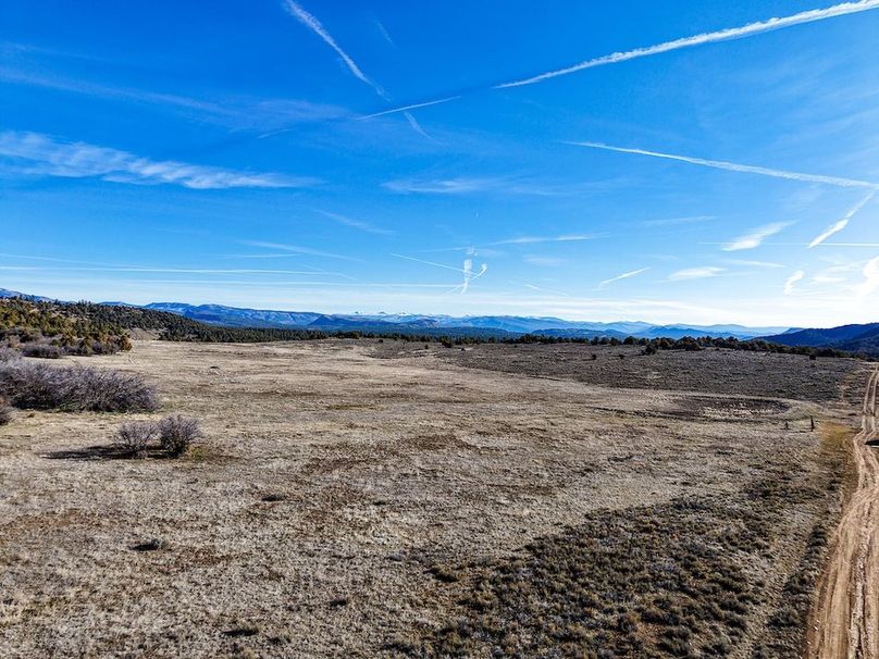 DJI_20260312091807_0142_D