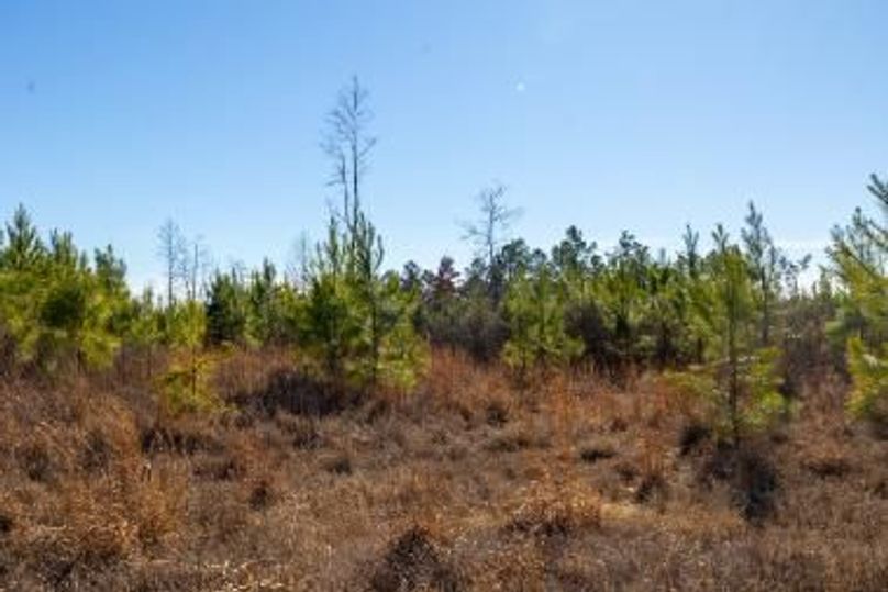 MCKINNON TRACT 19-08