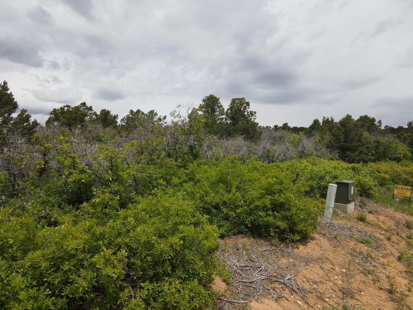 dji_export_1685968222793