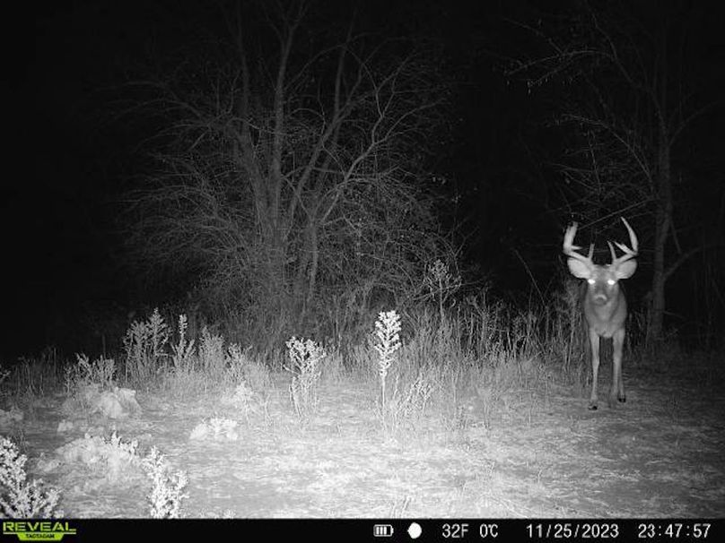 868032067149447-1-4-11252023234756-V-W1004315