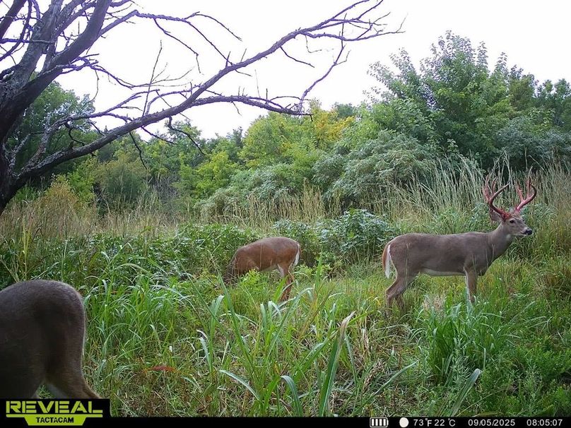 860322065515287-100-4-09052025163107-HD-SYEW2528