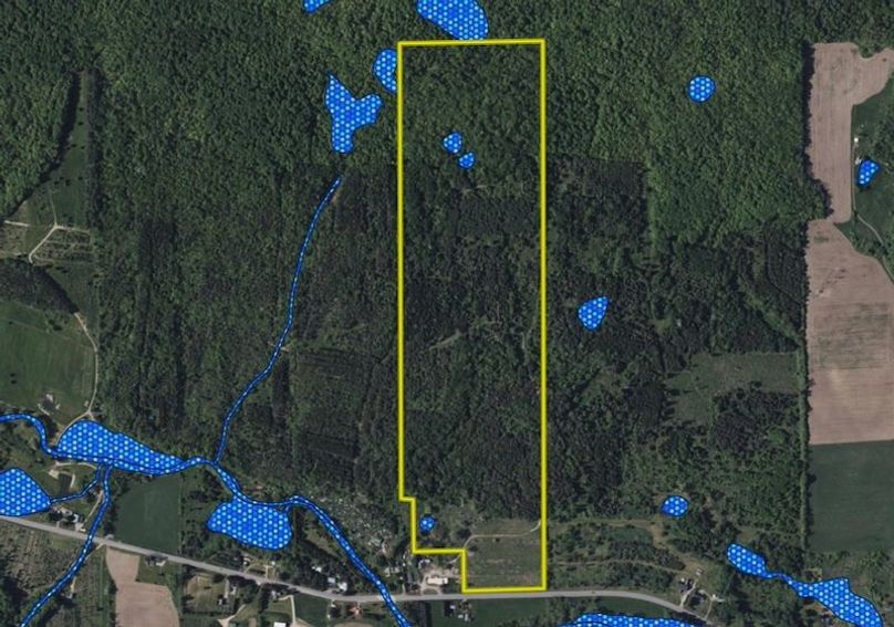 Land ID wetlands