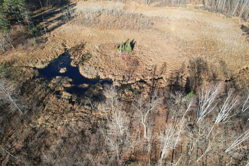 dji_fly_20231113_100838_289_1699892026044_photo