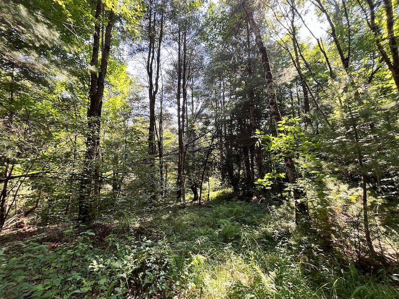 Oswego_24_Frank Photo 27