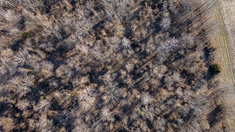 DJI_20260218161500_0040_D