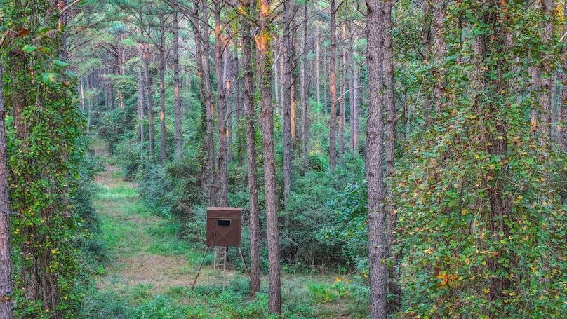 DJI_20250918181415_0203_D