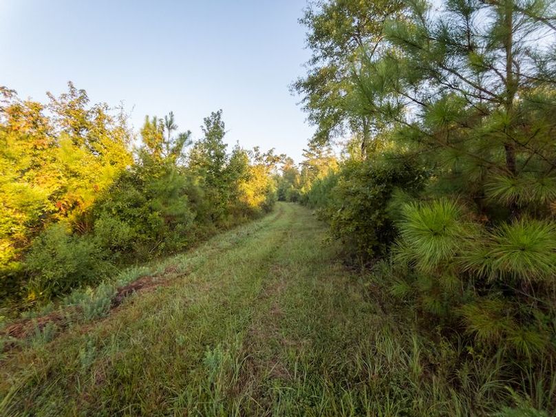 Madison Co - 40 - Clerk-27