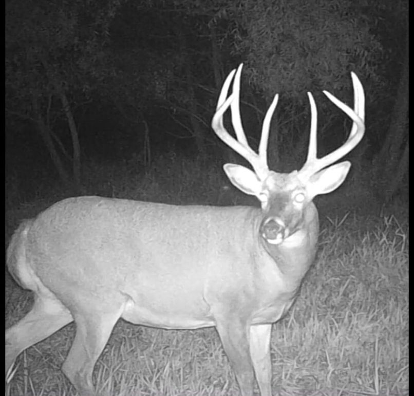 Screenshot_20240823_165006_Gallery