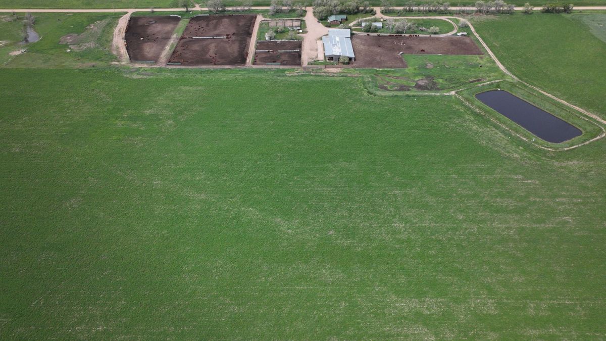 Butte County Ranch Headquarters With Land Whitetail Properties