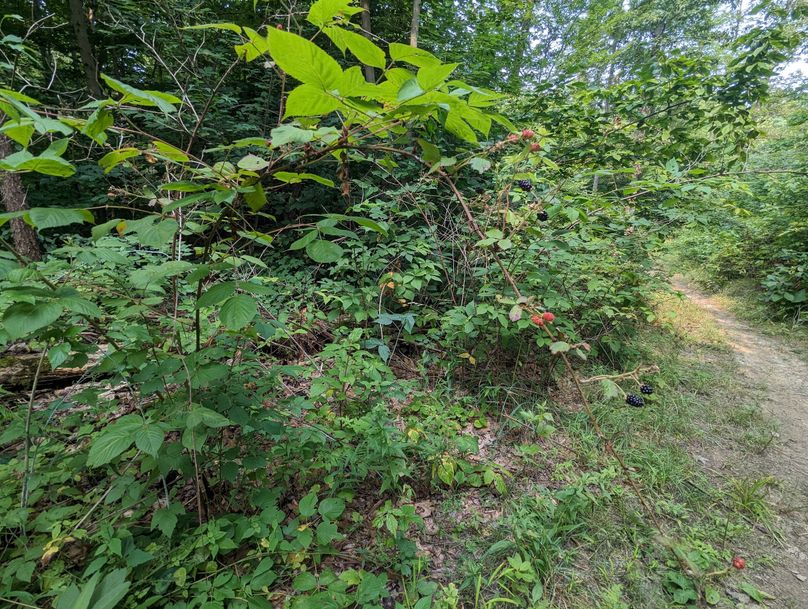 PXL_20230801_150207864