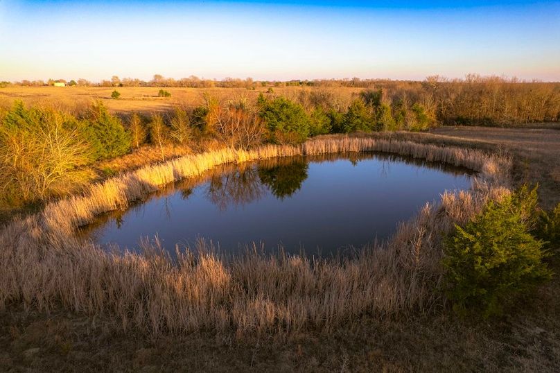 Lamar County 76.5 acres (20 of 23)