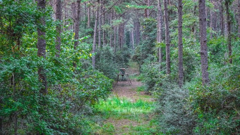 DJI_20250918175832_0178_D