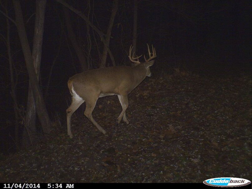 Deer Cam Tracker Pic. 215