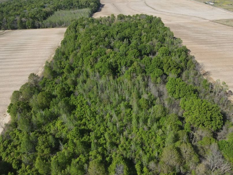 CF651C77-7B66-4A22-9C85-78F416262CF8_1_105_c