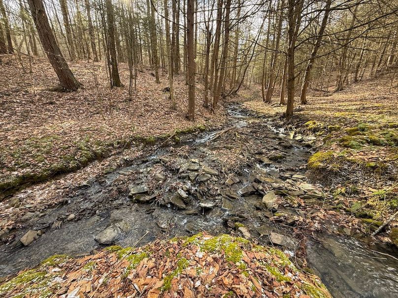 Chemung_59.65_Kocsis_photos_24