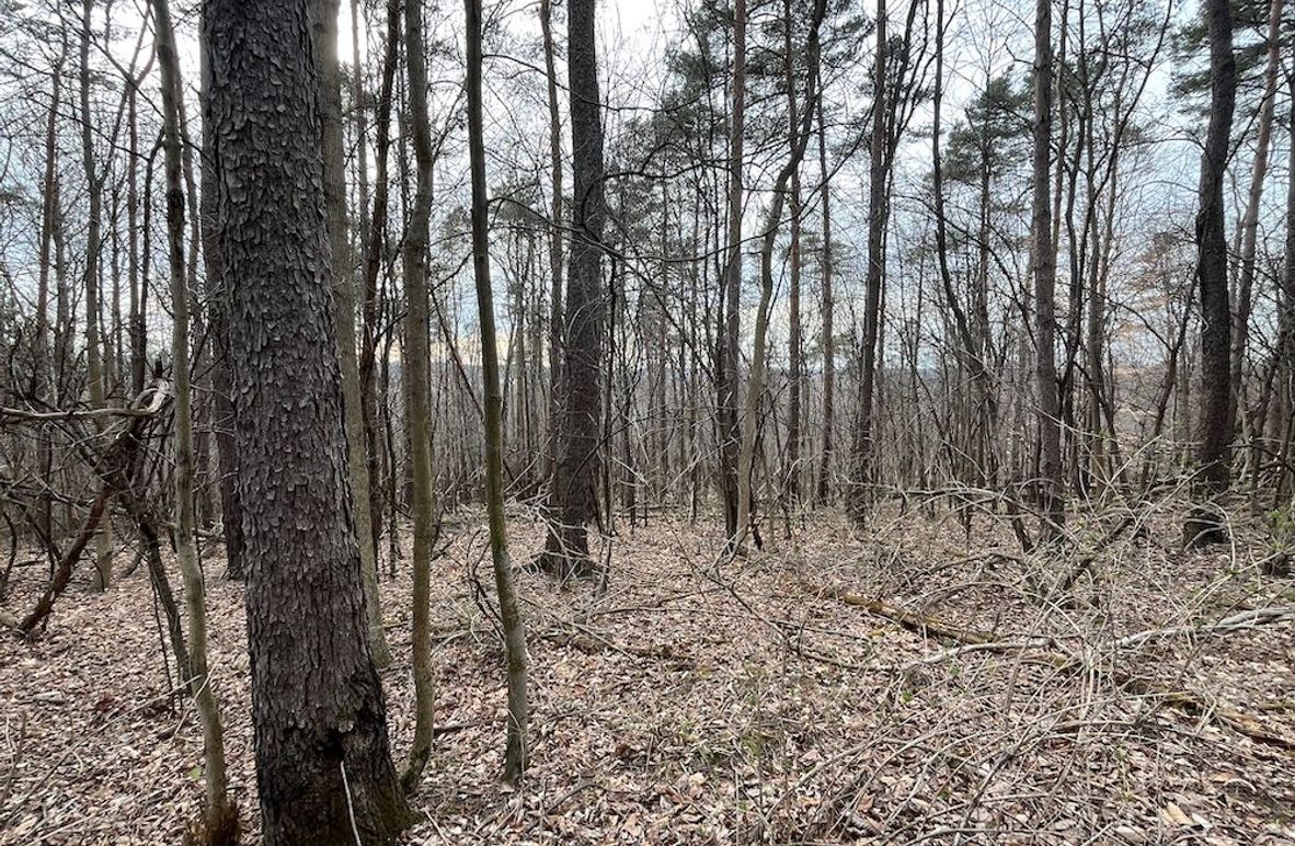 Yates_11.492_Mezer Photo 4