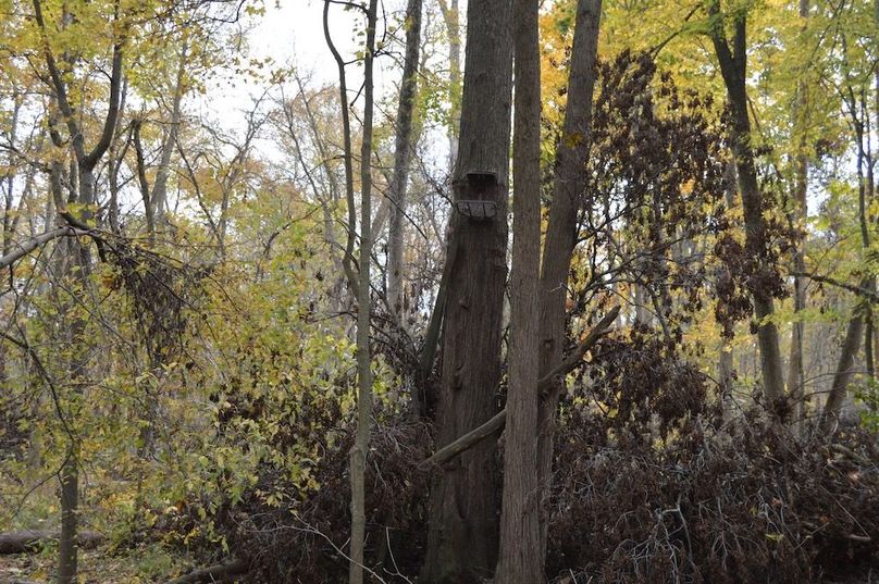 stand overlooking old feeder