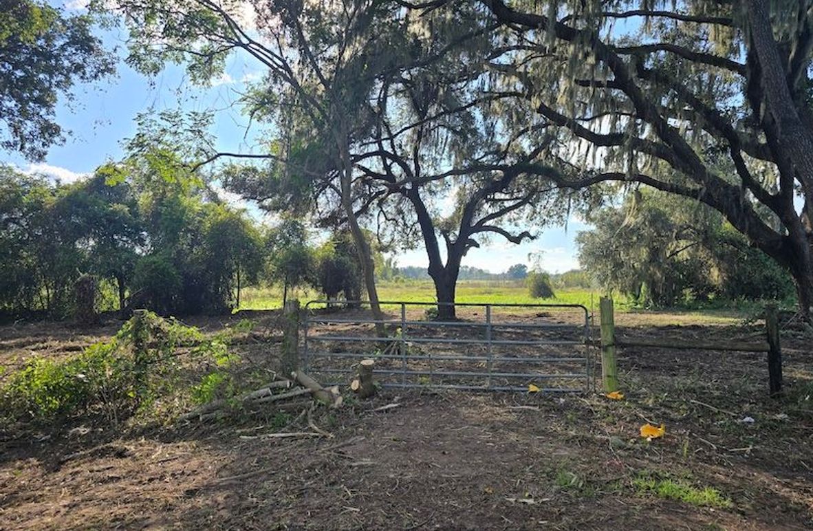 21ac, Sumter, Reelvest02