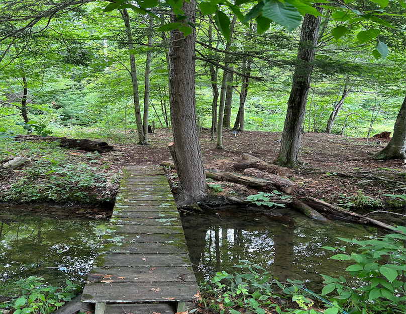 Tioga_28.87_Shangraw Photo 27b