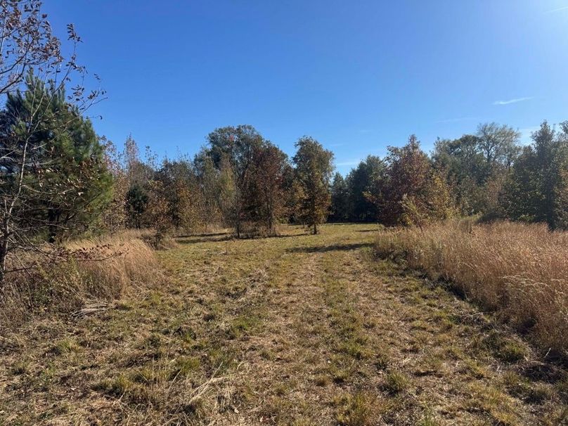 1a1 jeff 8320251111_0265