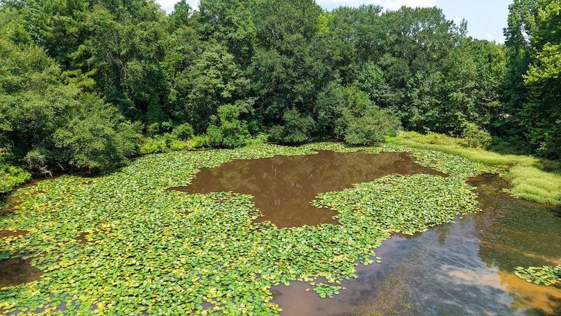 22 Jefferson 117ac - bethard-58