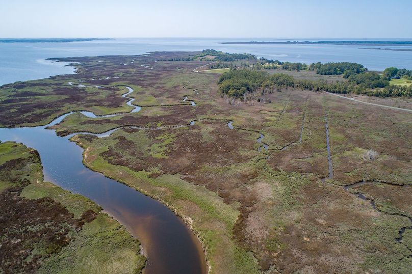 DJI_0215240428-ZF-0713-72000-1-001-012