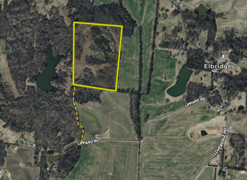 Screenshot 2026-03-25 at 11.04.17 AM