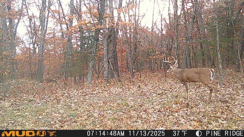 25111307144601000975_ColorizationType.none