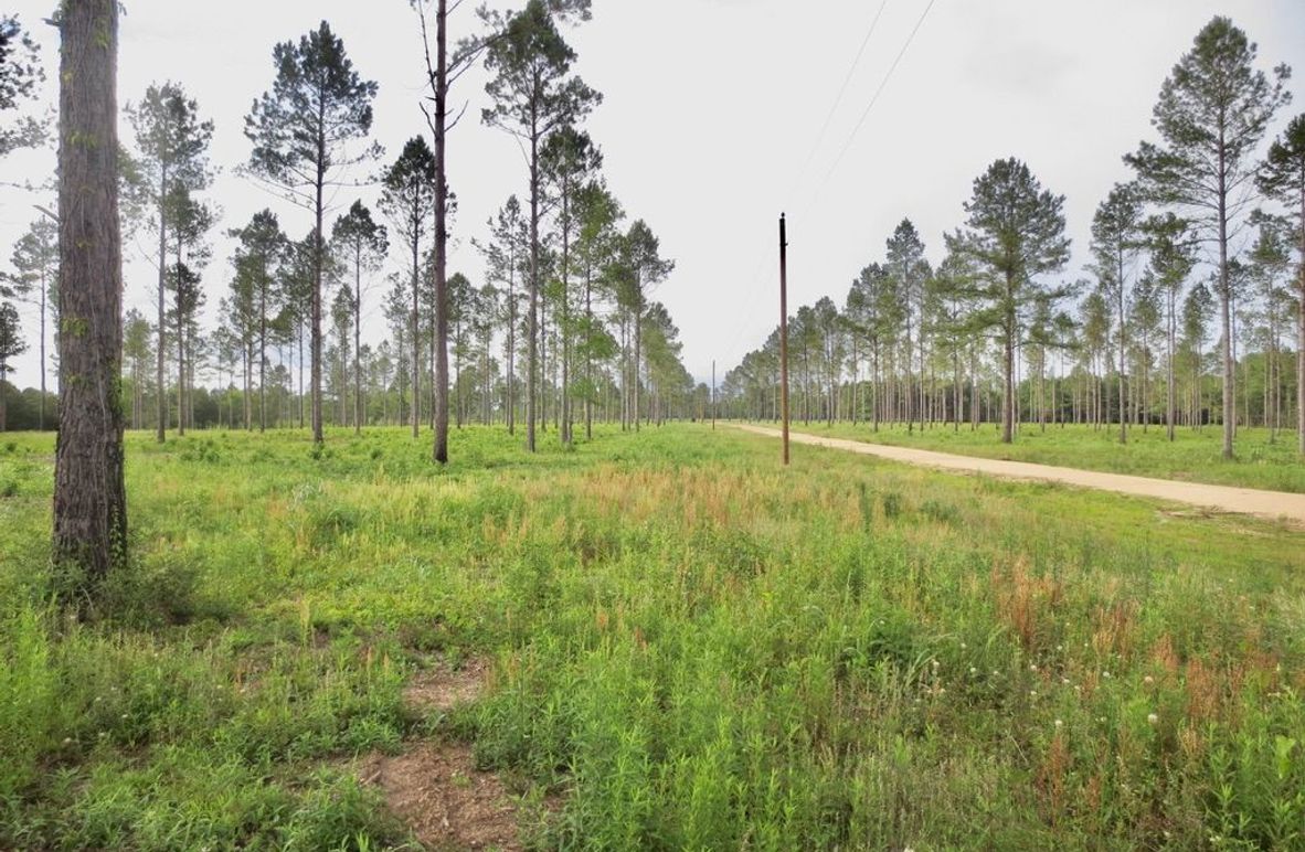 17158B71-B783-4F8C-97EE-F85A9D79A1D2_1_105_c