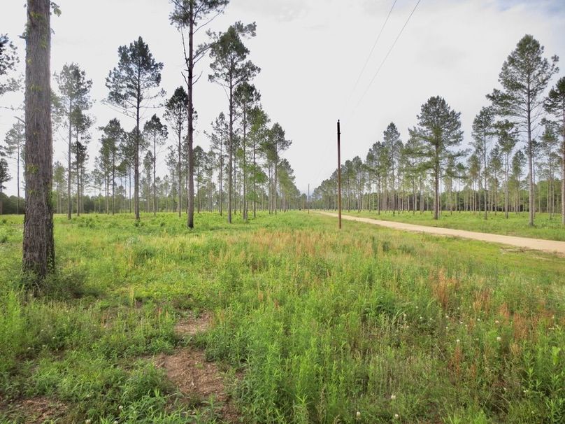 17158B71-B783-4F8C-97EE-F85A9D79A1D2_1_105_c