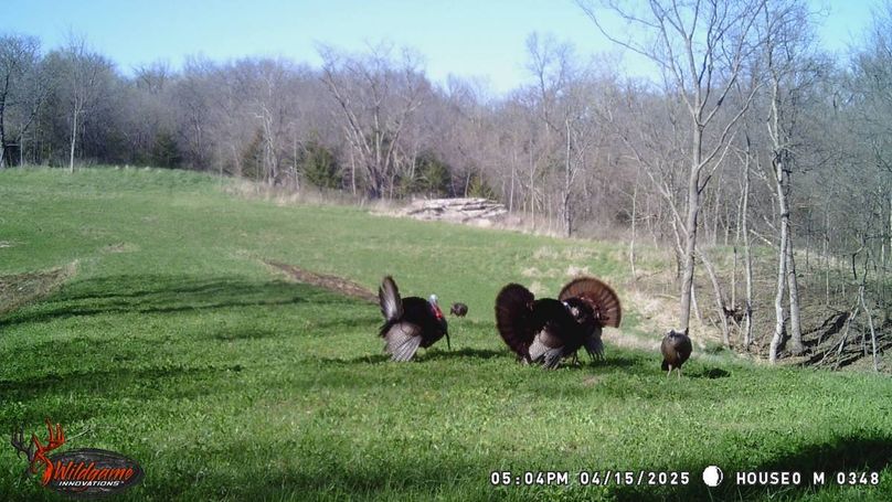 TRAIL CAM 5